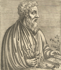 picture of Dioscorides