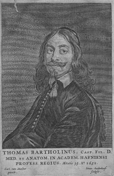 picture of Thomas Bartholin