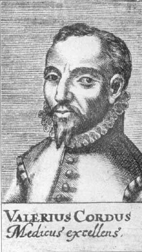 picture of Valerius Cordus